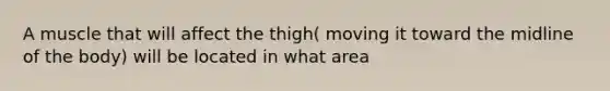 A muscle that will affect the thigh( moving it toward the midline of the body) will be located in what area