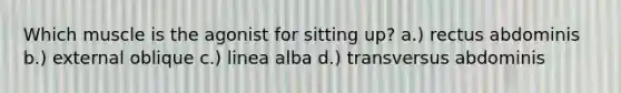 Which muscle is the agonist for sitting up? a.) rectus abdominis b.) external oblique c.) linea alba d.) transversus abdominis