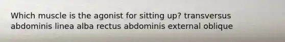 Which muscle is the agonist for sitting up? transversus abdominis linea alba rectus abdominis external oblique