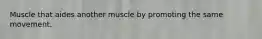 Muscle that aides another muscle by promoting the same movement.