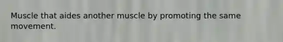 Muscle that aides another muscle by promoting the same movement.