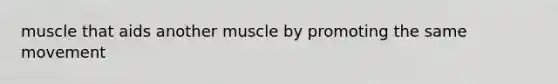 muscle that aids another muscle by promoting the same movement