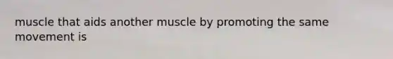 muscle that aids another muscle by promoting the same movement is