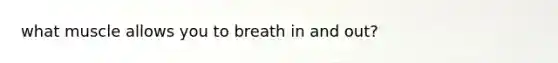 what muscle allows you to breath in and out?