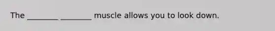 The ________ ________ muscle allows you to look down.