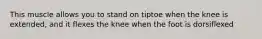 This muscle allows you to stand on tiptoe when the knee is extended, and it flexes the knee when the foot is dorsiflexed