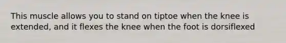 This muscle allows you to stand on tiptoe when the knee is extended, and it flexes the knee when the foot is dorsiflexed