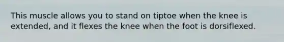 This muscle allows you to stand on tiptoe when the knee is extended, and it flexes the knee when the foot is dorsiflexed.