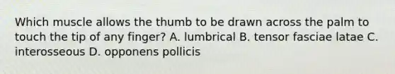 Which muscle allows the thumb to be drawn across the palm to touch the tip of any finger? A. lumbrical B. tensor fasciae latae C. interosseous D. opponens pollicis