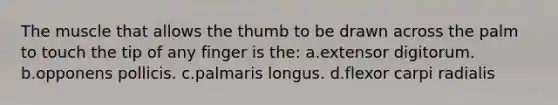 The muscle that allows the thumb to be drawn across the palm to touch the tip of any finger is the: a.extensor digitorum. b.opponens pollicis. c.palmaris longus. d.flexor carpi radialis