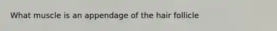 What muscle is an appendage of the hair follicle