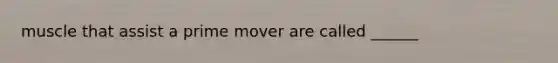 muscle that assist a prime mover are called ______