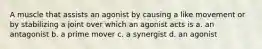 A muscle that assists an agonist by causing a like movement or by stabilizing a joint over which an agonist acts is a. an antagonist b. a prime mover c. a synergist d. an agonist