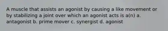 A muscle that assists an agonist by causing a like movement or by stabilizing a joint over which an agonist acts is a(n) a. antagonist b. prime mover c. synergist d. agonist