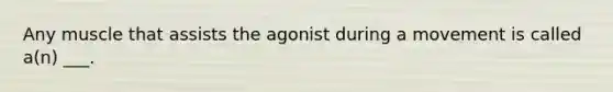 Any muscle that assists the agonist during a movement is called a(n) ___.