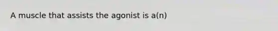 A muscle that assists the agonist is a(n)