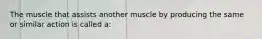 The muscle that assists another muscle by producing the same or similar action is called a: