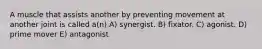 A muscle that assists another by preventing movement at another joint is called a(n) A) synergist. B) fixator. C) agonist. D) prime mover E) antagonist