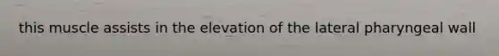 this muscle assists in the elevation of the lateral pharyngeal wall