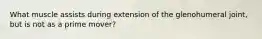 What muscle assists during extension of the glenohumeral joint, but is not as a prime mover?