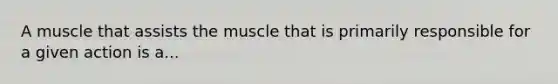 A muscle that assists the muscle that is primarily responsible for a given action is a...