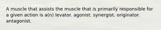 A muscle that assists the muscle that is primarily responsible for a given action is a(n) levator. agonist. synergist. originator. antagonist.