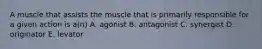 A muscle that assists the muscle that is primarily responsible for a given action is a(n) A. agonist B. antagonist C. synergist D. originator E. levator