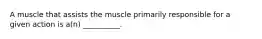 A muscle that assists the muscle primarily responsible for a given action is a(n) __________.