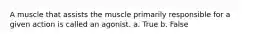 A muscle that assists the muscle primarily responsible for a given action is called an agonist. a. True b. False