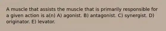 A muscle that assists the muscle that is primarily responsible for a given action is a(n) A) agonist. B) antagonist. C) synergist. D) originator. E) levator.