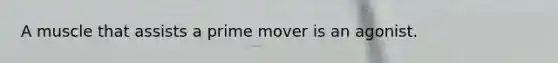 A muscle that assists a prime mover is an agonist.