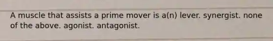 A muscle that assists a prime mover is a(n) lever. synergist. none of the above. agonist. antagonist.