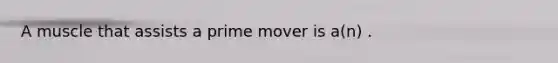 A muscle that assists a prime mover is a(n) .