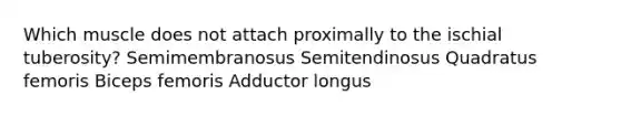 Which muscle does not attach proximally to the ischial tuberosity? Semimembranosus Semitendinosus Quadratus femoris Biceps femoris Adductor longus