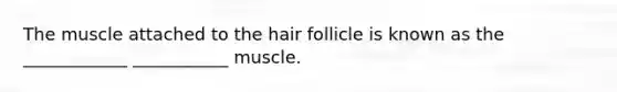 The muscle attached to the hair follicle is known as the ____________ ___________ muscle.