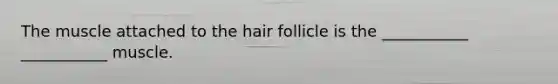 The muscle attached to the hair follicle is the ___________ ___________ muscle.