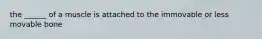 the ______ of a muscle is attached to the immovable or less movable bone