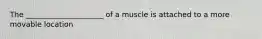 The _____________________ of a muscle is attached to a more movable location