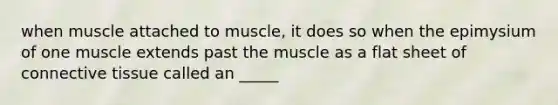 when muscle attached to muscle, it does so when the epimysium of one muscle extends past the muscle as a flat sheet of connective tissue called an _____