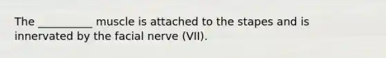 The __________ muscle is attached to the stapes and is innervated by the facial nerve (VII).