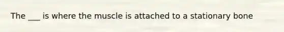 The ___ is where the muscle is attached to a stationary bone
