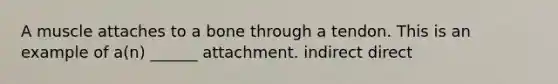 A muscle attaches to a bone through a tendon. This is an example of a(n) ______ attachment. indirect direct