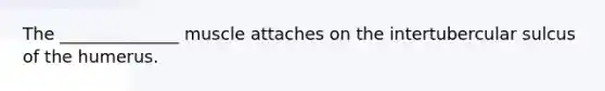 The ______________ muscle attaches on the intertubercular sulcus of the humerus.