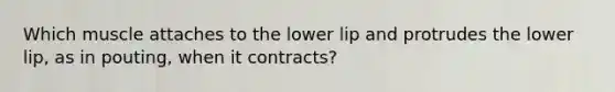 Which muscle attaches to the lower lip and protrudes the lower lip, as in pouting, when it contracts?