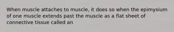 When muscle attaches to muscle, it does so when the epimysium of one muscle extends past the muscle as a flat sheet of connective tissue called an