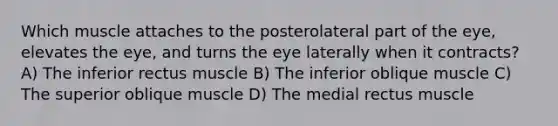 Which muscle attaches to the posterolateral part of the eye, elevates the eye, and turns the eye laterally when it contracts? A) The inferior rectus muscle B) The inferior oblique muscle C) The superior oblique muscle D) The medial rectus muscle