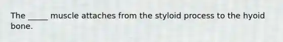 The _____ muscle attaches from the styloid process to the hyoid bone.