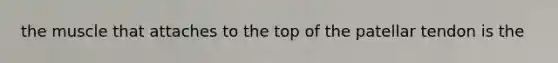 the muscle that attaches to the top of the patellar tendon is the
