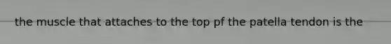 the muscle that attaches to the top pf the patella tendon is the