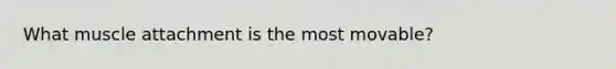 What muscle attachment is the most movable?